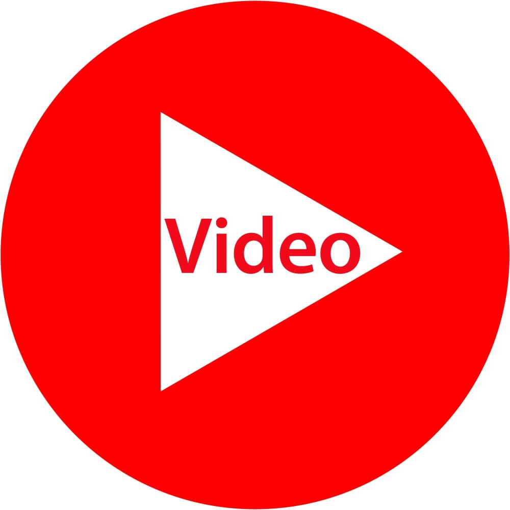 Djeco Fantasy Forest 3D Colouring Kit